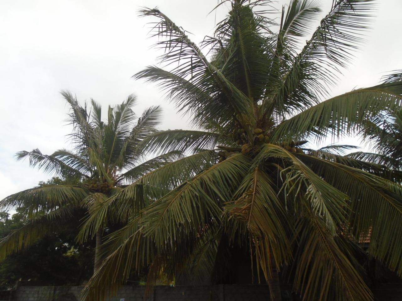 Hotel El Shaddai Mannar Esterno foto
